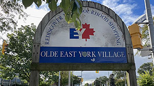 Pure & Healthy Veg Tiffins in East York Toronto