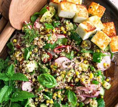 Pure Veg Tiffins in Downtown Toronto